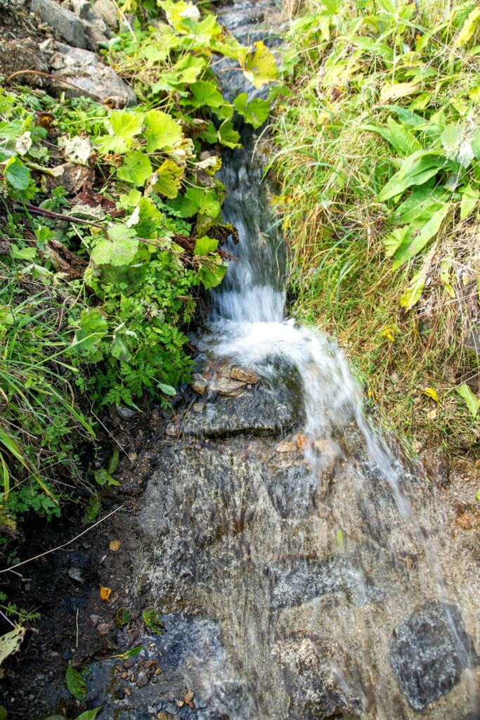 Retour aux sources